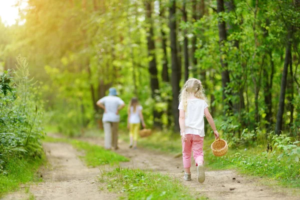 Две Милые Сестрички Гуляют Лесу Своей Бабушкой Прекрасный Летний День — стоковое фото