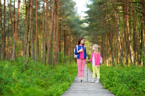 Två Söta Små Systrar Kul Skogen Vandra Vacker Sommardag Aktiv — Stockfoto