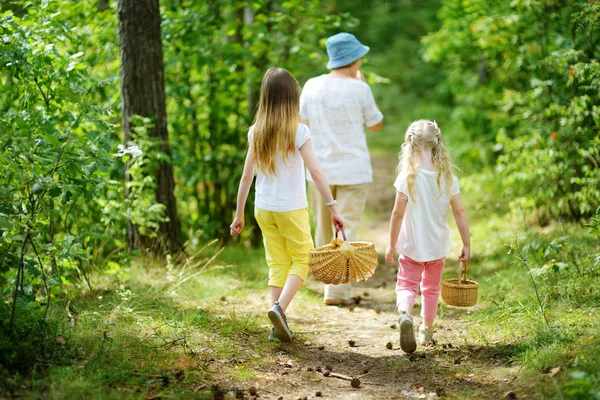 两个可爱的小妹妹在森林里和祖母在美丽的夏日徒步旅行 家庭时间在夏天 — 图库照片
