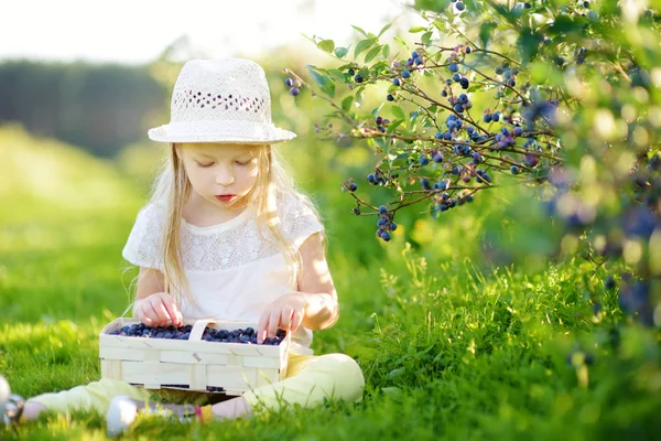 かわいい女の子選ぶ新鮮な果実有機ブルーベリー農園に暖かく 日当たりの良い夏の日 小さな子供のための新鮮な健康的な有機食品 — ストック写真