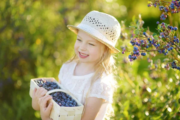 Gadis Kecil Yang Lucu Memetik Buah Beri Segar Pertanian Blueberry — Stok Foto