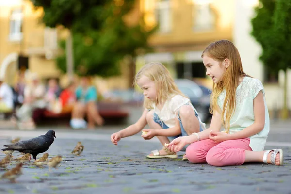 Duas Irmãzinhas Giras Alimentando Pássaros Dia Verão Crianças Alimentando Pombos — Fotografia de Stock