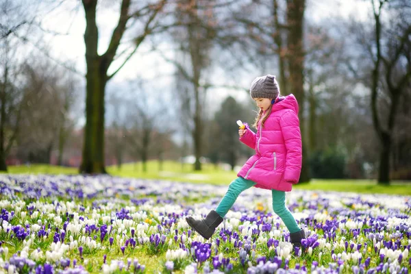 Klein meisje plukken crocus bloemen — Stockfoto