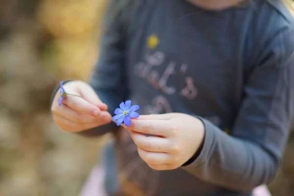 Petite fille cueillette des fleurs dans la forêt — Photo