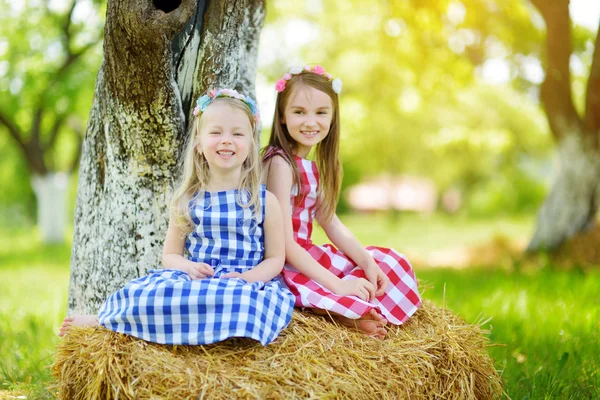 Hermanas sentadas en el pajar en el jardín —  Fotos de Stock