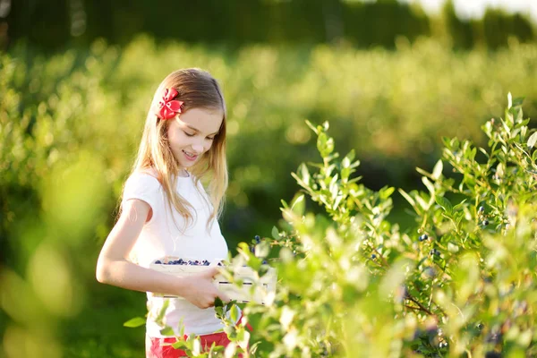 Kleines Mädchen pflückt frische Beeren — Stockfoto