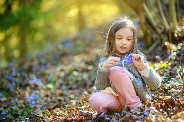 Küçük kız ormanda çiçek toplama — Stok fotoğraf