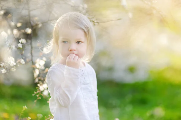 Девушка в цветущем саду вишни — стоковое фото