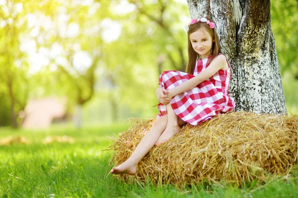干し草の山に座っている少女 — ストック写真