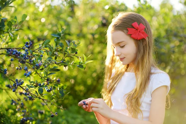Девочка собирает свежие ягоды — стоковое фото