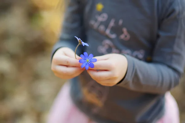 Petite fille cueillette des fleurs dans la forêt — Photo