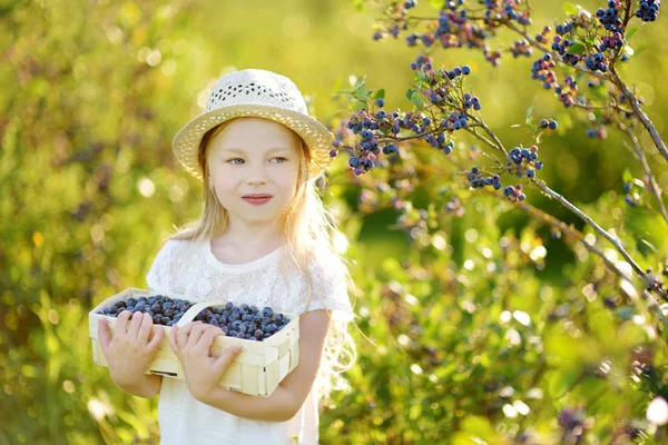 Gadis kecil memetik buah berry segar — Stok Foto