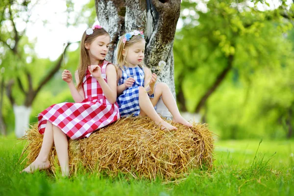 Sisters sitting on haystack in garden — Stock Photo, Image