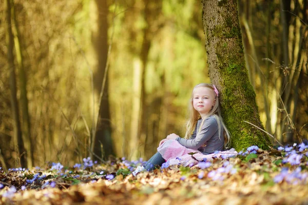 Malá holčička, trhání květin v lese — Stock fotografie