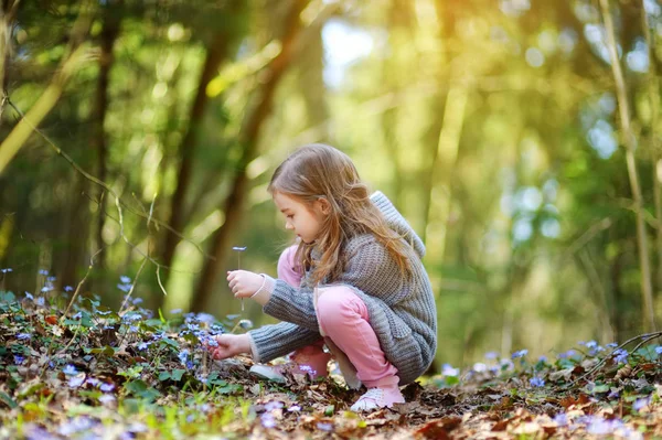 Menina colhendo flores na floresta — Fotografia de Stock