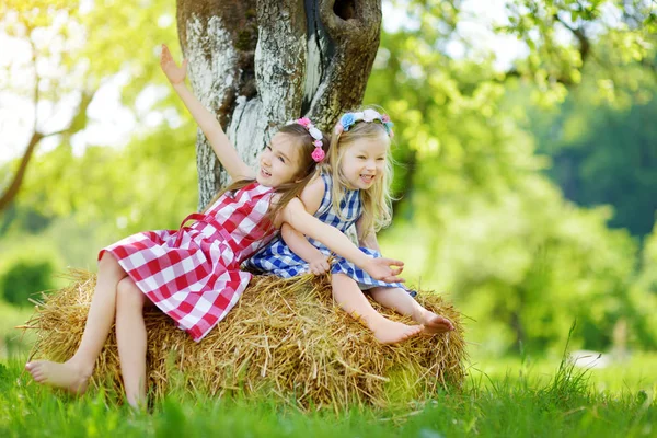 Сестры сидят на стоге сена в саду — стоковое фото
