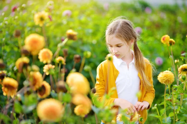Malá holčička hraje v kvetoucí pole — Stock fotografie