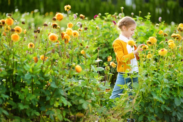 Маленькая девочка, играющая на цветущем поле — стоковое фото