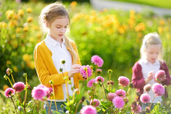 Niños recogiendo flores frescas — Foto de Stock