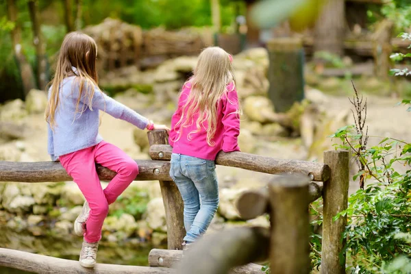 Schattige kleine zusters in dierentuin — Stockfoto