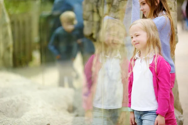 Schattig klein meisje in dierentuin — Stockfoto