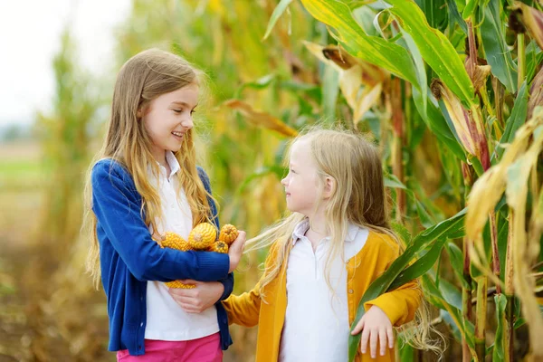 Очаровательные сестры играют на кукурузном поле — стоковое фото