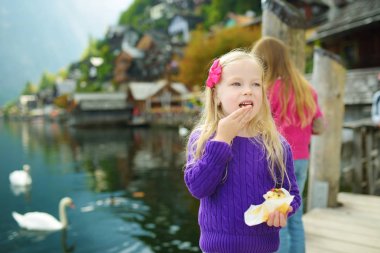 İki küçük kız kuğu Avusturya Alplerinde Hallstatt lakeside kasabasında sonbaharın güzel gününde güzel bir akşam ışığında besleme