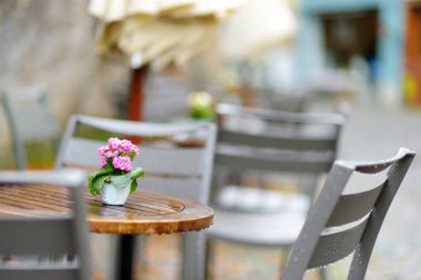 pembe çiçekler buket tablo açık kafe, yakın çekim