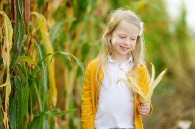 Sevimli kız mısır koçanı tutarak. Hasat kavramı