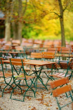 Sonbaharda Almanya boş açık kafe. Boş sandalye ve masa Sonbahar sezonu kestane ağaçları altında.