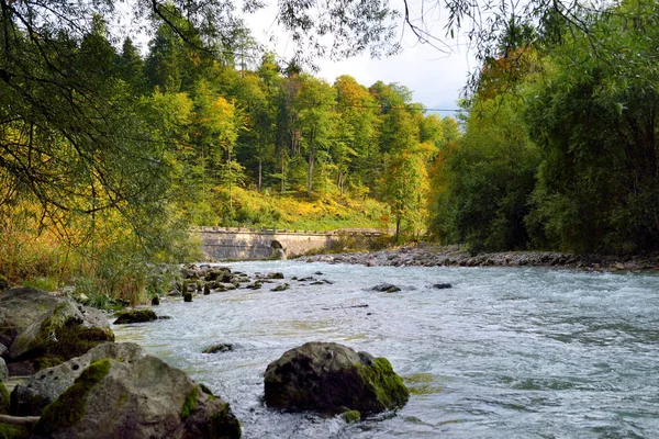 Malebné Modrá Řeka Protékající Podzimní Les Berchtesgadenu Oblast Bavorsko Německo — Stock fotografie