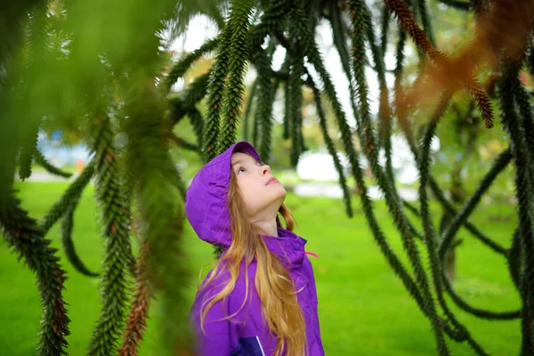 Симпатичная Маленькая Девочка Осматривает Колючую Листву Вечнозеленого Обезьяньего Дерева Головоломки — стоковое фото