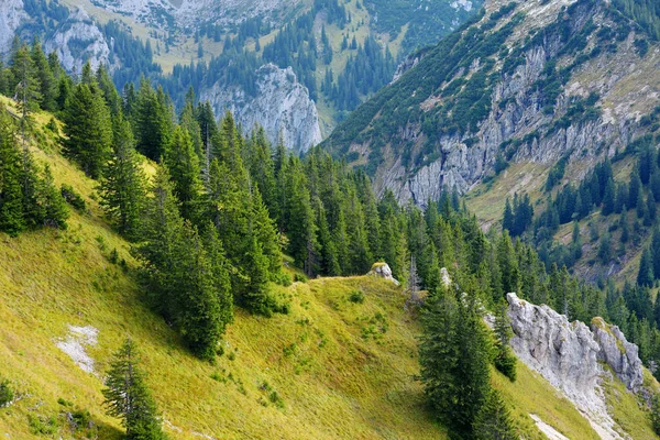 Pintorescas Vistas Desde Montaña Tegelberg Una Parte Los Alpes Ammergau — Foto de Stock