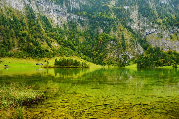 Приголомшливі Темно Зеленим Вод Konigssee Відомий Німеччини Найглибші Найчистіші Озера — стокове фото