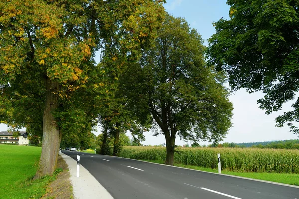 Kurvenreiche Straße Durch Maisfelder Malerischer Bayerischer Landschaft Deutschland — Stockfoto