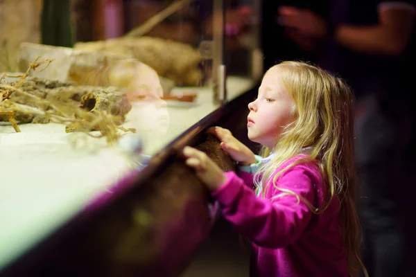 可爱的小女孩在动物园里看动物 孩子通过窗户看动物园里的动物 蛇在缸 — 图库照片