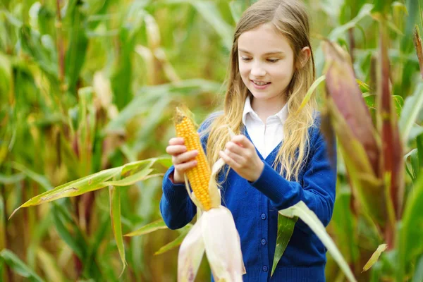 Schattig Meisje Houden Cob Van Maïs Oogsten Concept — Stockfoto