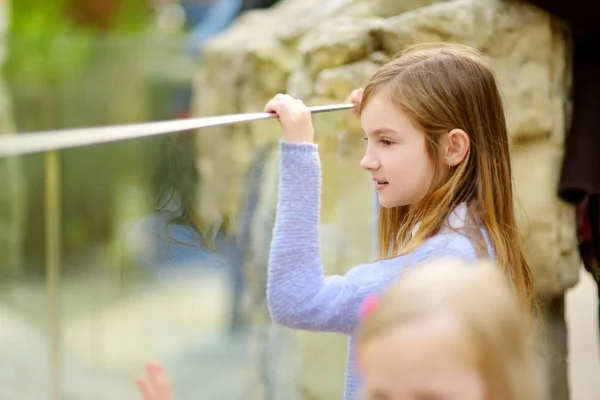 Malá Holčička Sleduje Zvířata Oknem Zoo — Stock fotografie