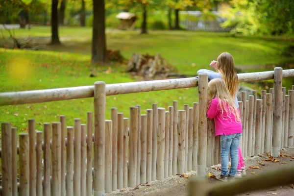 Two Cute Little Sisters Watching Animals Zoo Warm Sunny Summer — Stock Photo, Image