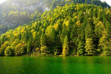 Konigssee, Almanya'nın en derin ve en temiz Gölü, aşırı Güneydoğu Berchtesgadener arazi İlçesi in Bavarya ', yer olarak bilinen çarpıcı derin yeşil suları Avusturya sınırına yakın:.