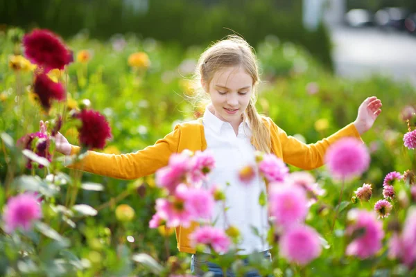 Cute Little Girl Playing Blossoming Dahlia Field — Stock Photo, Image