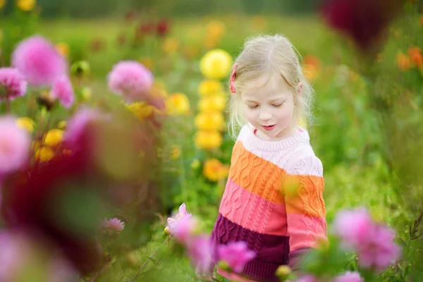 可爱的小女孩摆在盛开的大丽花领域与五颜六色的花朵 — 图库照片
