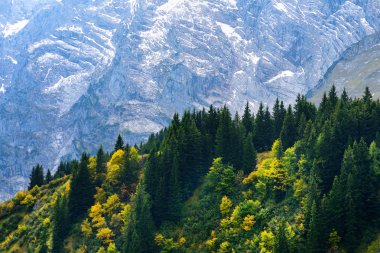 Blue mountains ve yeşil orman, Bavyera, Almanya.