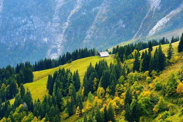 Blue Mountains Och Gröna Skog Bayern Tyskland — Stockfoto