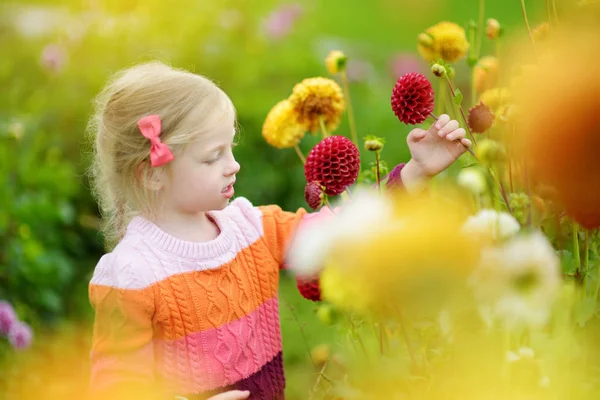 ダリアの開花フィールドを歩いてかわいい女の子 — ストック写真