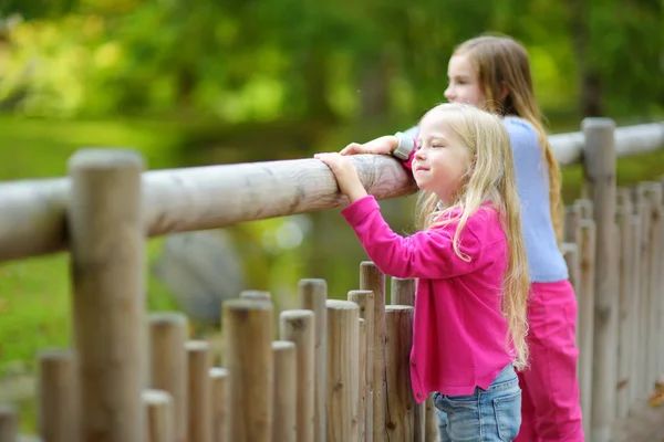 两个可爱的小妹妹在温暖晴朗的夏日里在动物园里看动物 孩子们看着动物园里的动物站在篱笆旁 活跃家庭休闲 — 图库照片