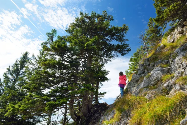 Lindo Excursionista Disfrutando Una Vista Pintoresca Desde Montaña Tegelberg — Foto de Stock