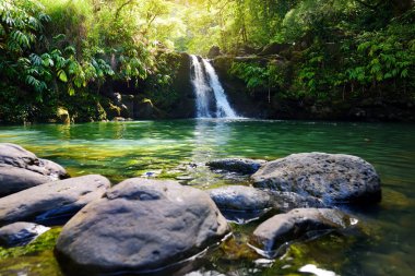 Tropik şelale alt Waikamoi Falls ve küçük gölet, Maui, Hawaii, ABD