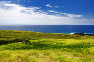 arka Haleakala krater ada Maui, Hawaii, ABD