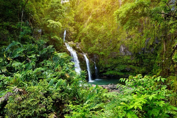 Tropiskt Vattenfall Nedre Waikamoi Falls Och Liten Damm Maui Hawaii — Stockfoto